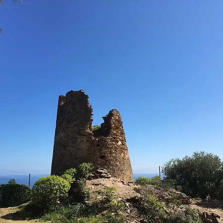 Semesterbostad Casa Vacanza Porto Corallo