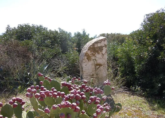 Casa Vacanza Porto Corallo Holiday home